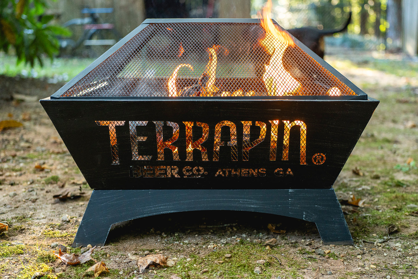 Terrapin Fire Pit